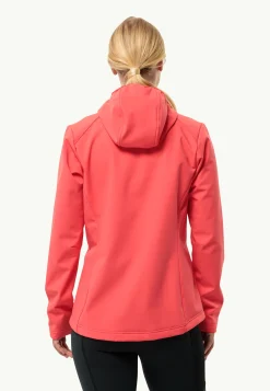 Online Bornberg Hoody W Damen Windjacken|Übergangsjacken