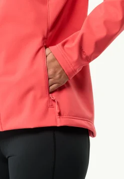 Online Bornberg Hoody W Damen Windjacken|Übergangsjacken
